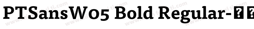 PTSansW05 Bold Regular字体转换